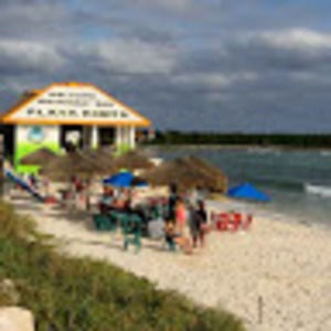 Meet your Posher, Suzanne